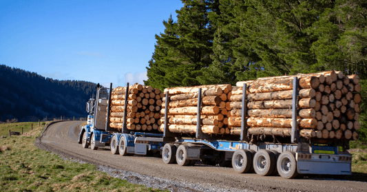 Transforming Safety in Logging and Forestry with AiVA